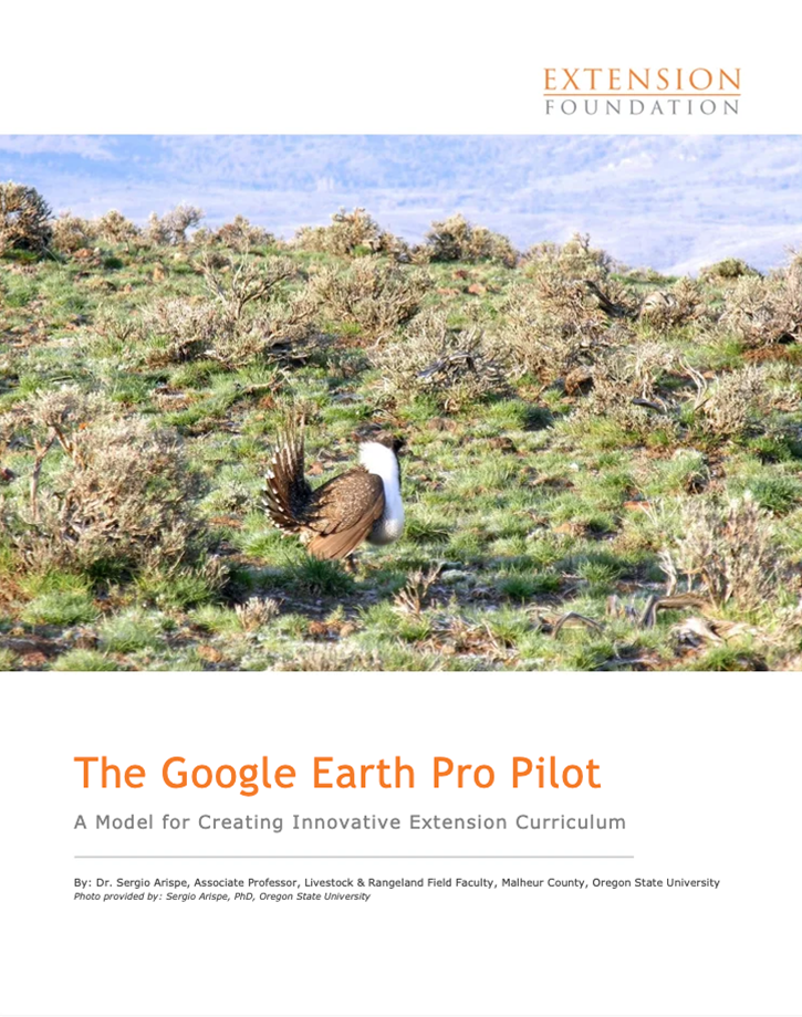 The Google Earth Pro Pilot
